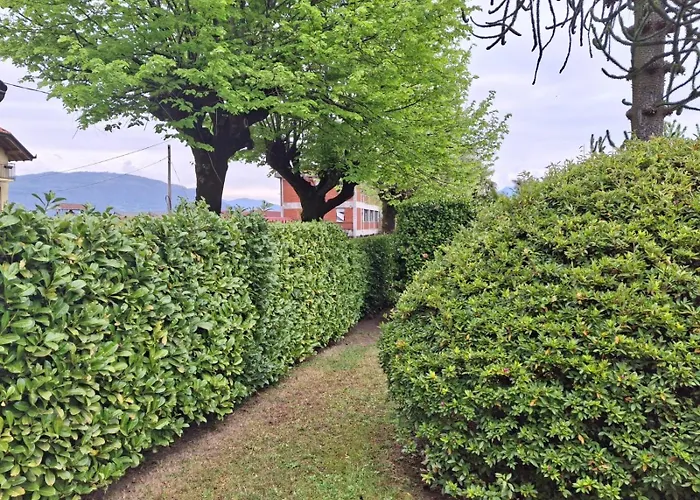 La Casa Di Arnika Бавено